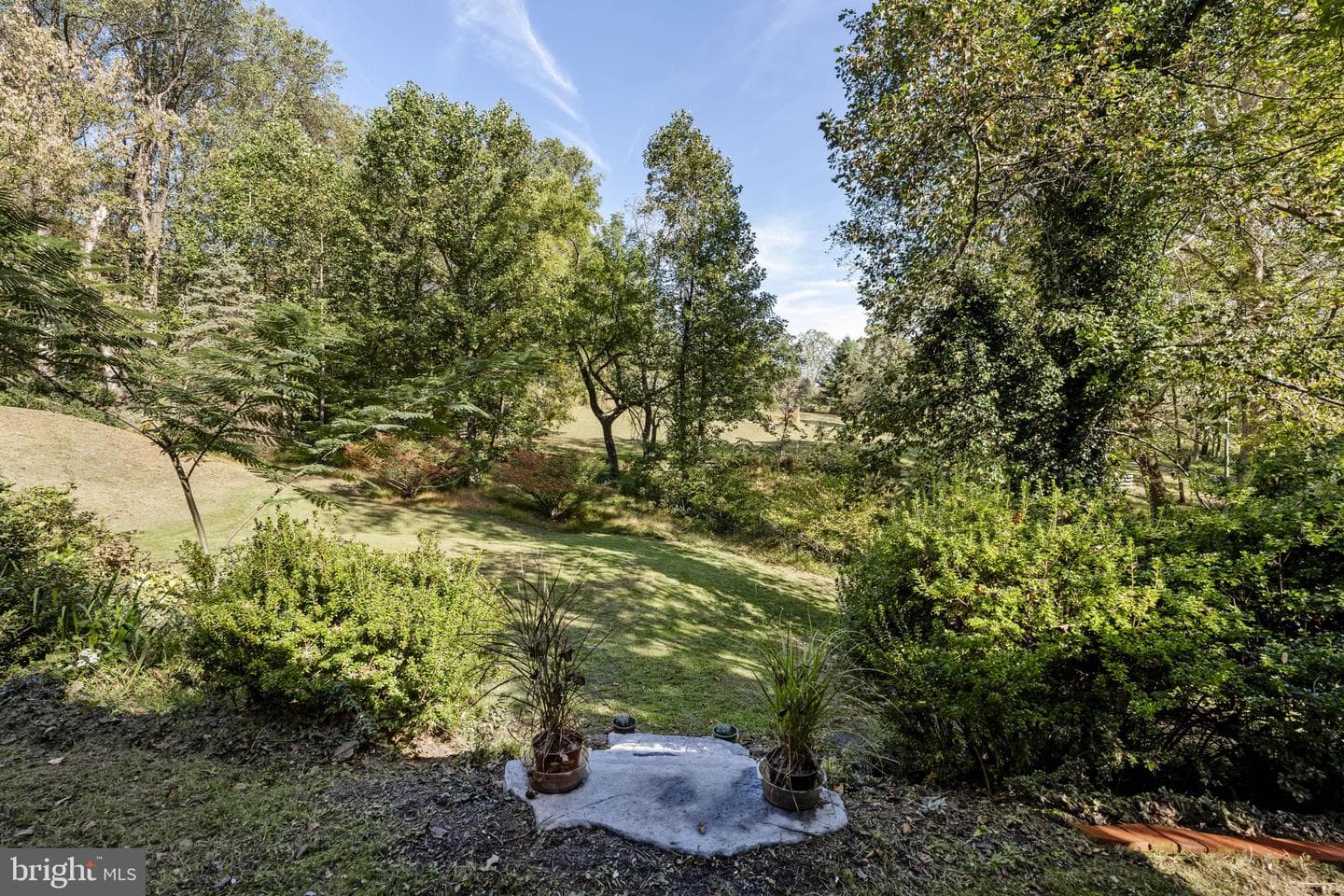 61 Cambridge Drive photo 36