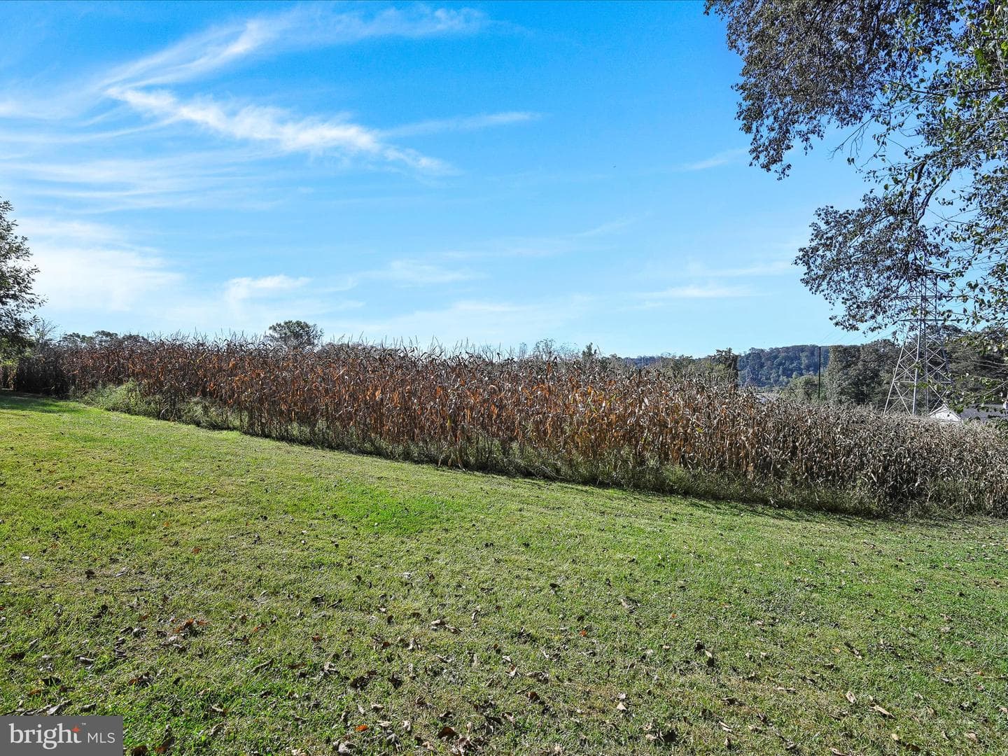 2496 River Road photo 33
