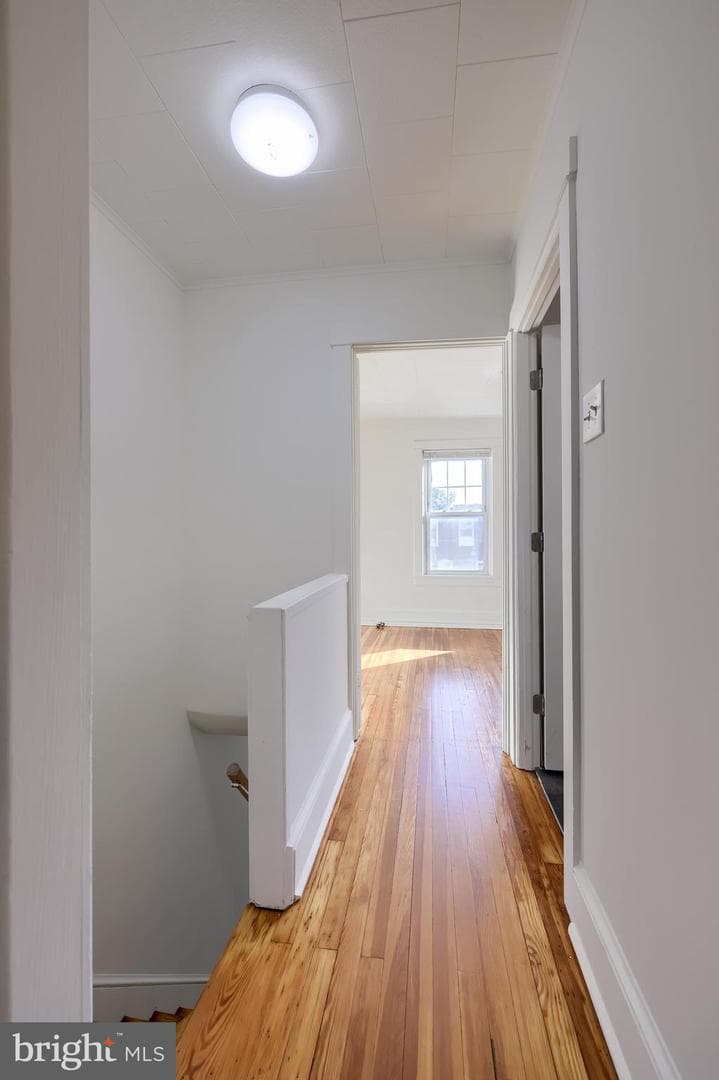 661 Lehigh Avenue photo 13