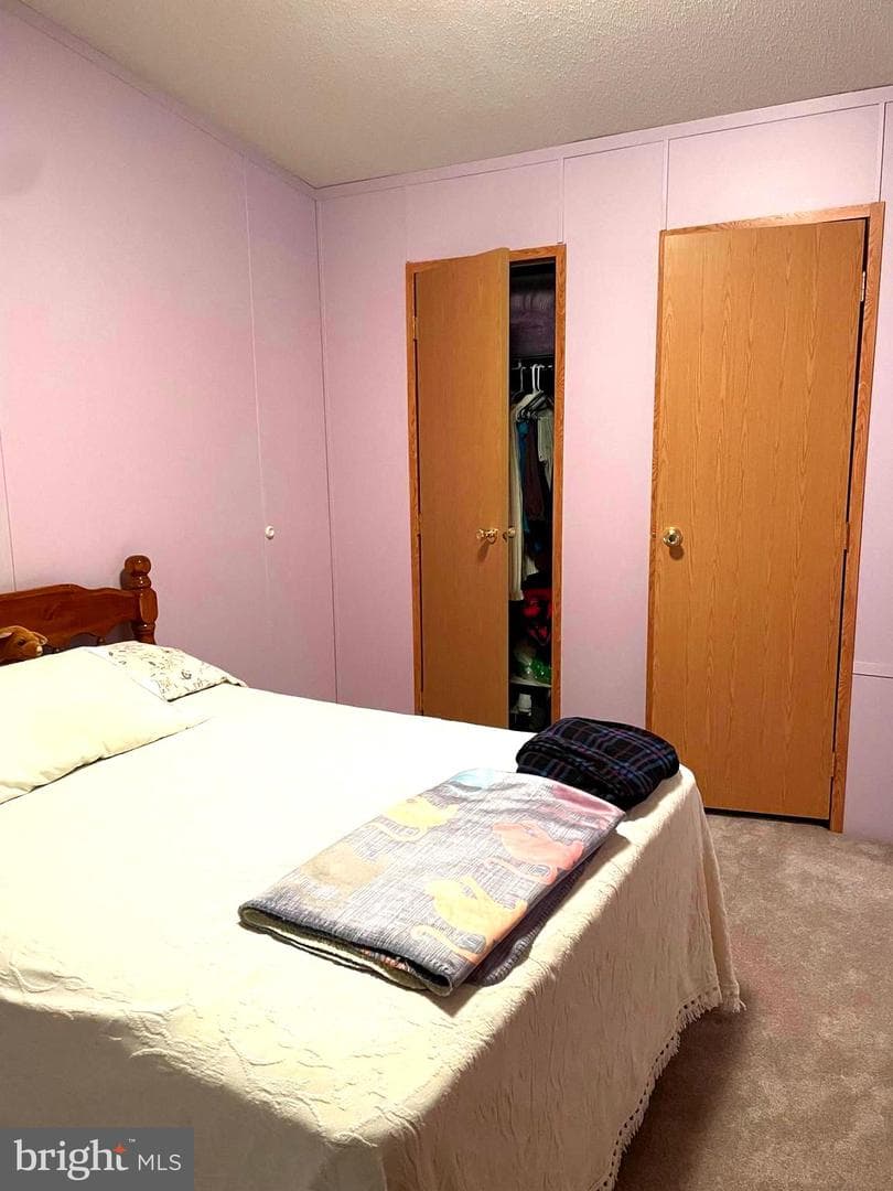 31 Jere Road photo 19