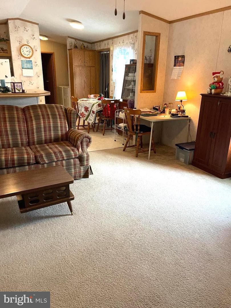 31 Jere Road photo 8