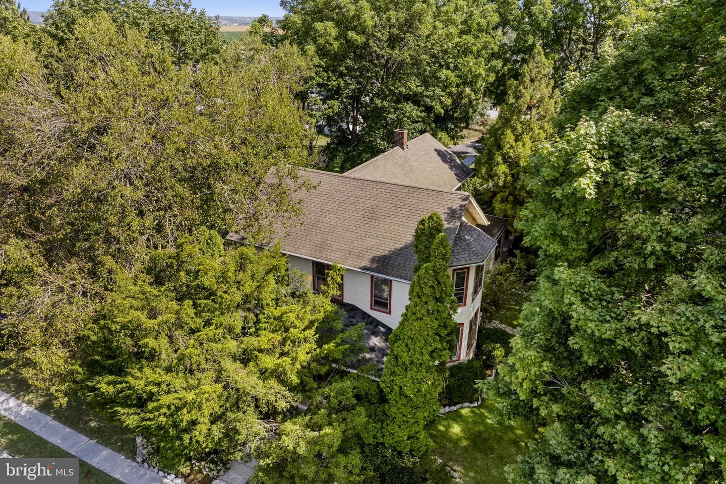 781 Newport Avenue photo 65