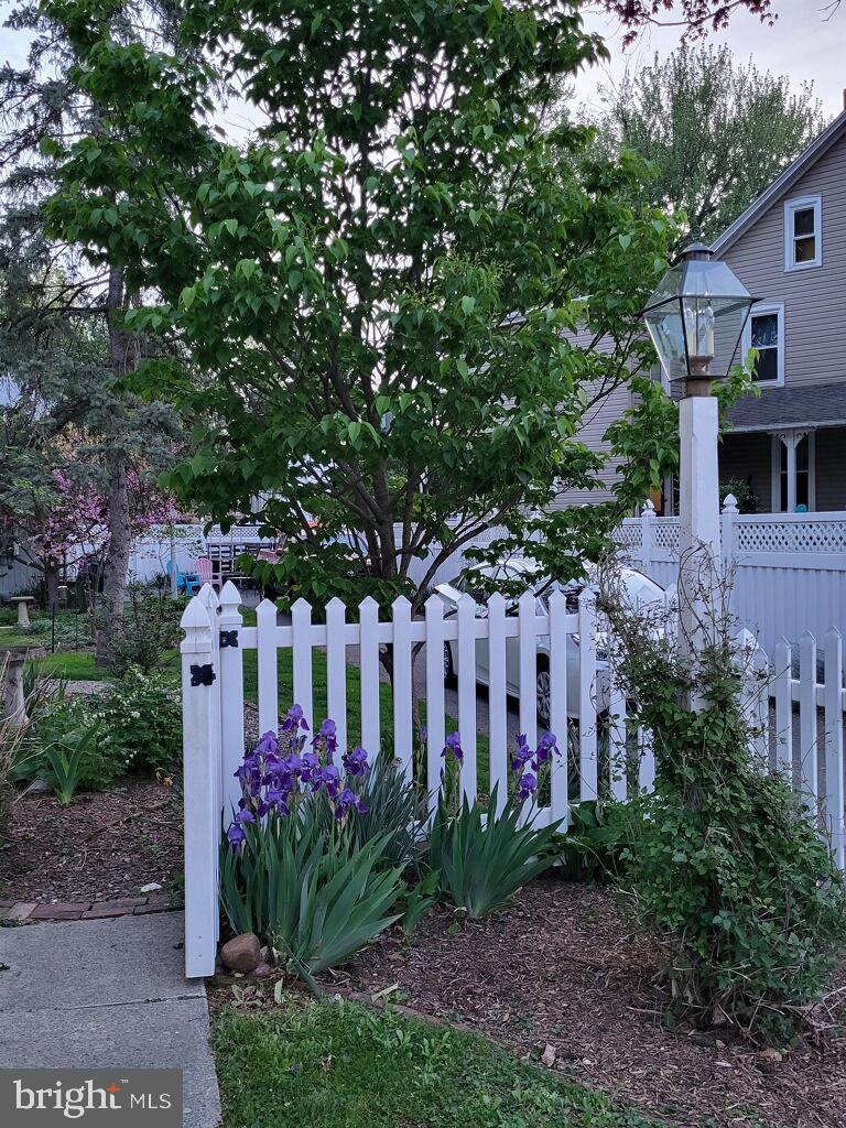 255 Elizabeth Street photo 43