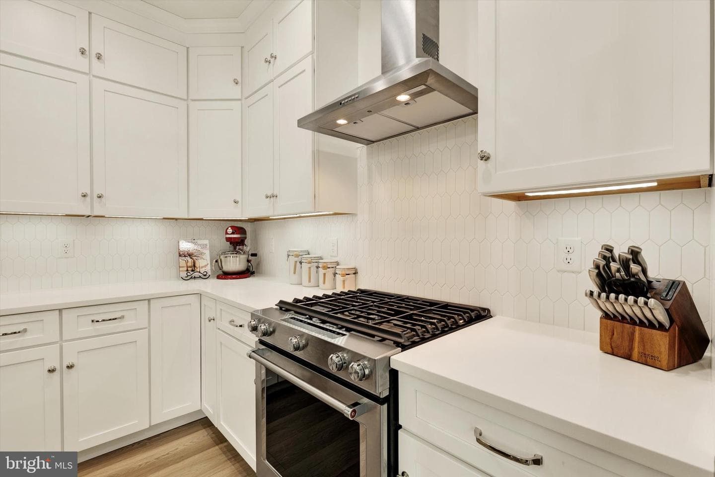 1033 Lititz Bend Drive photo 18
