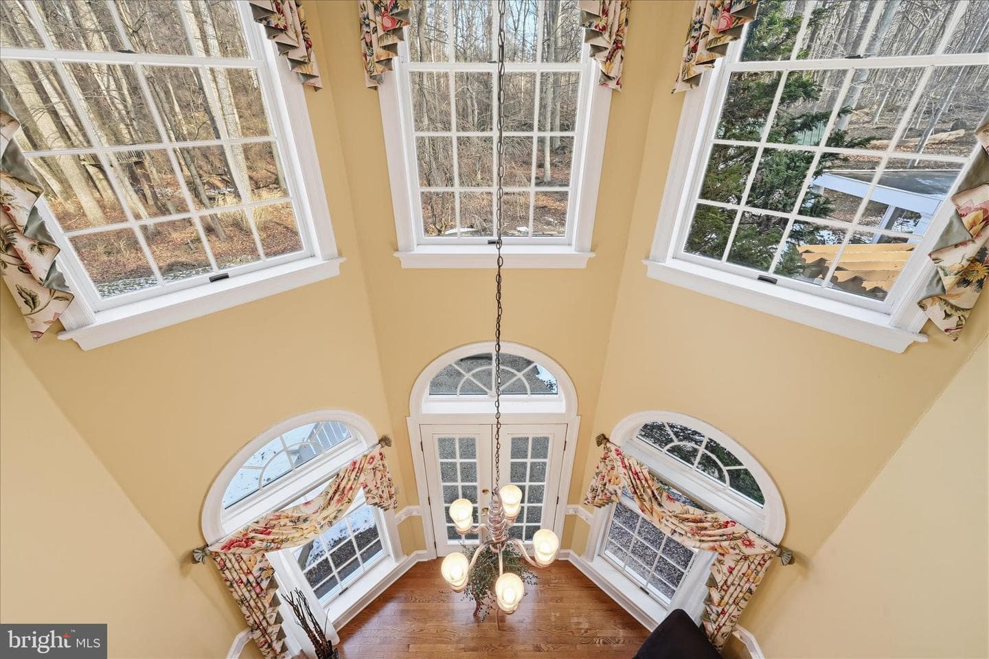 295 Dogwood Drive photo 22