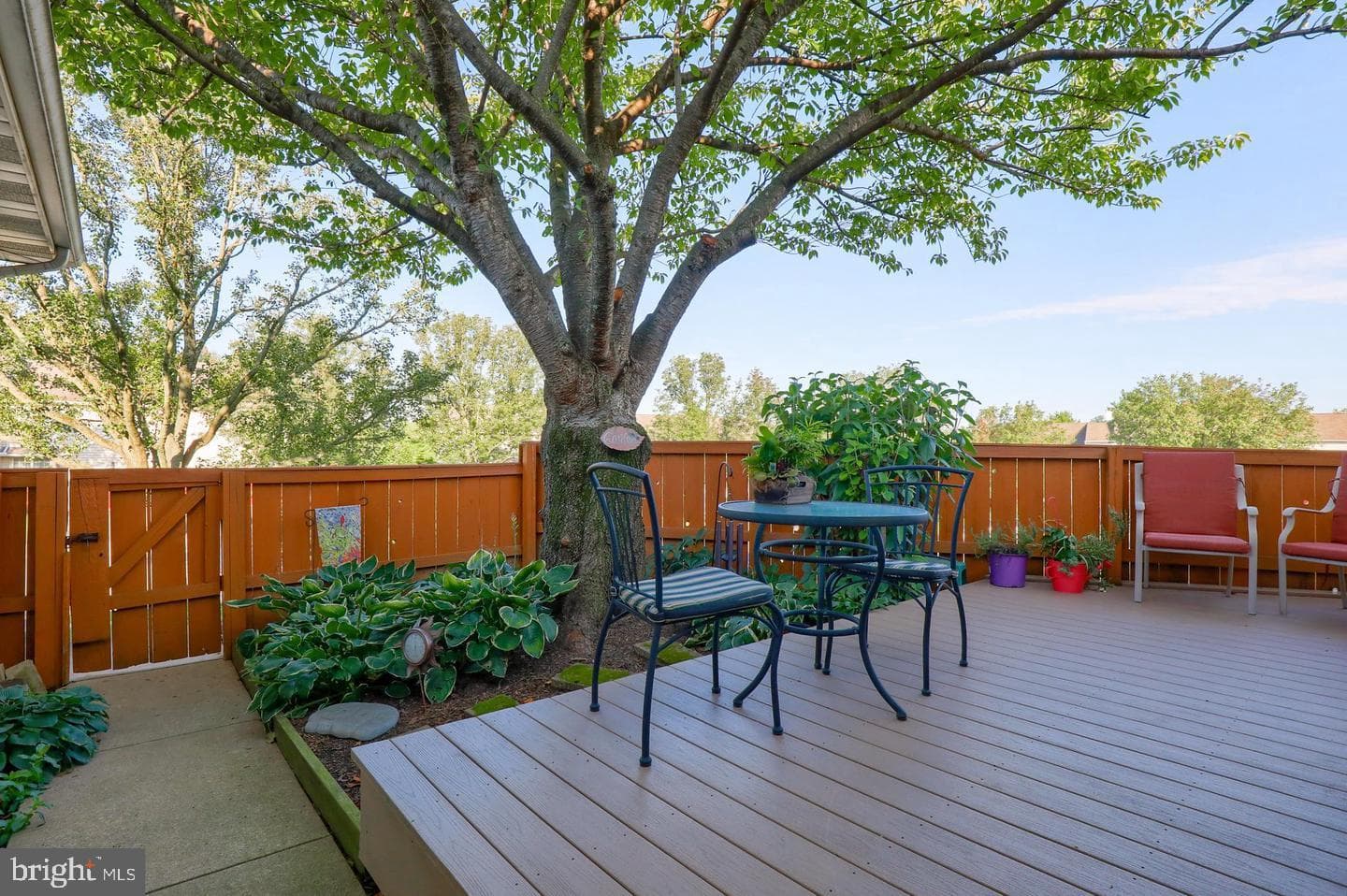 107 Treetops Drive photo 5