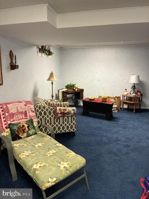 10 Harvest Drive photo 9