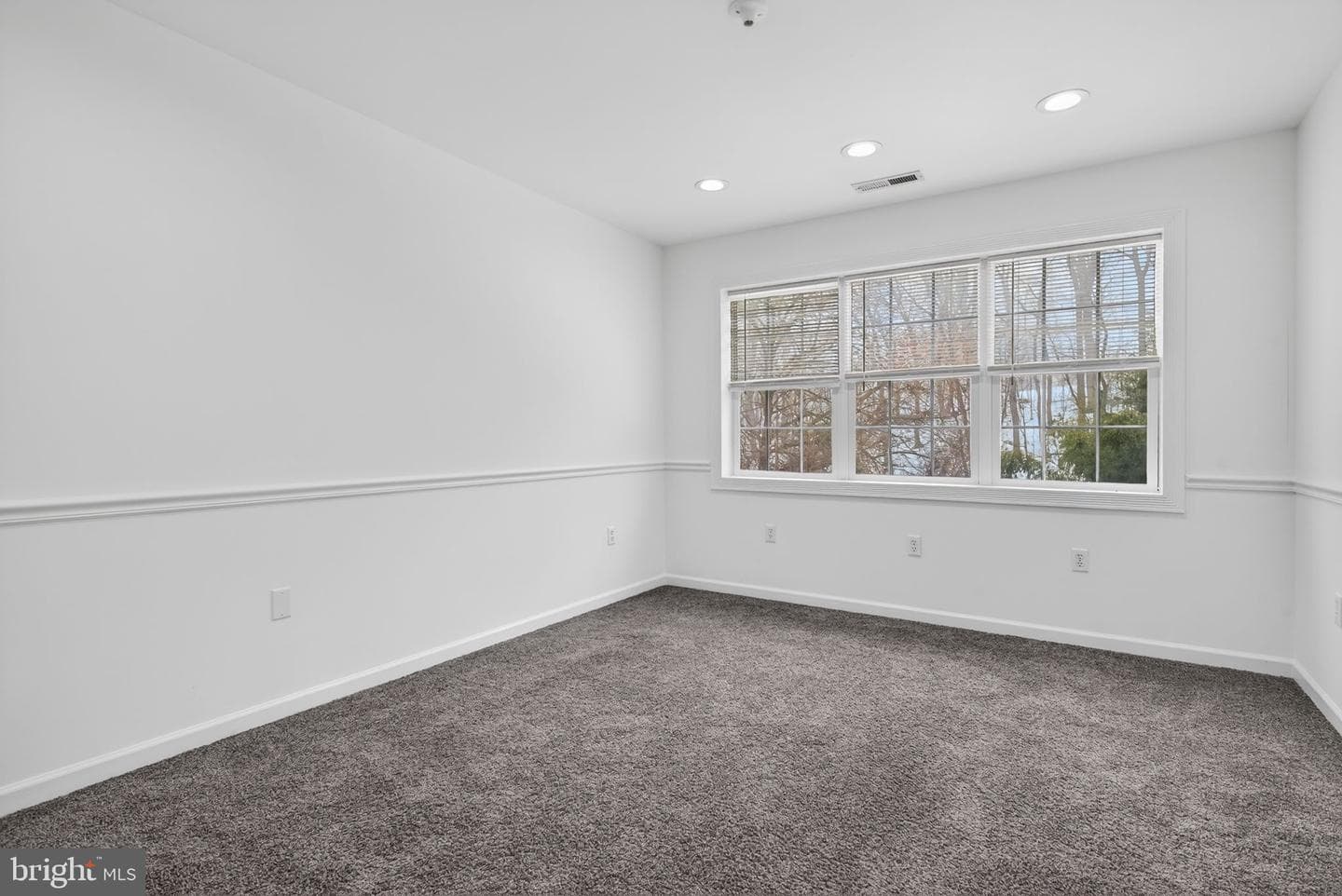 88 Shady Lane photo 33