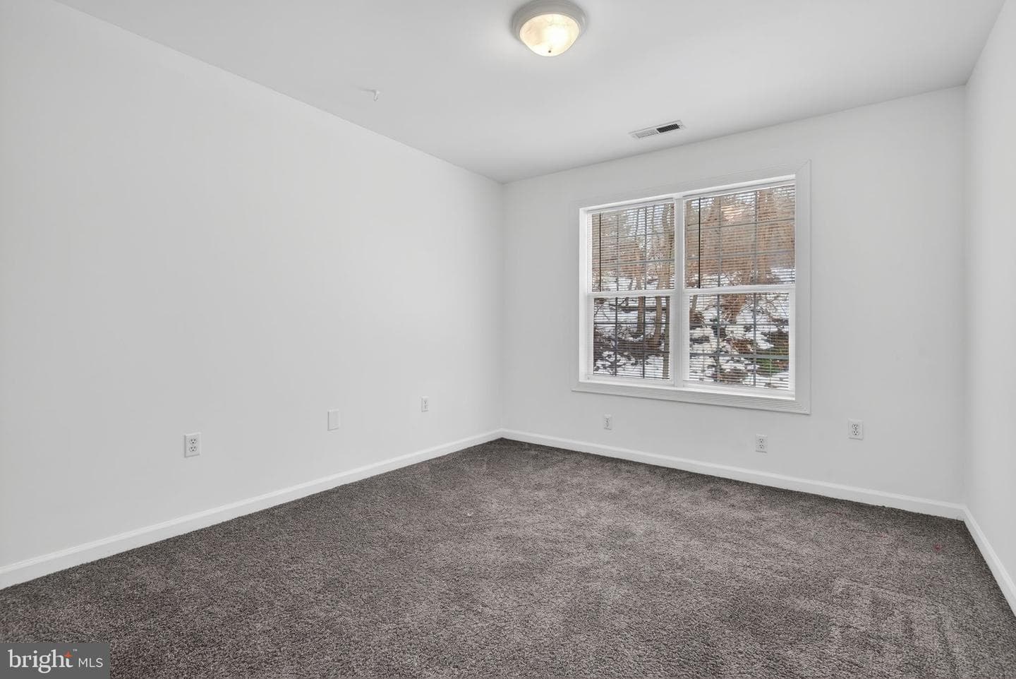 88 Shady Lane photo 39