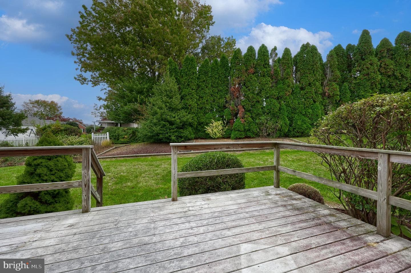 113 Florentine Drive photo 40