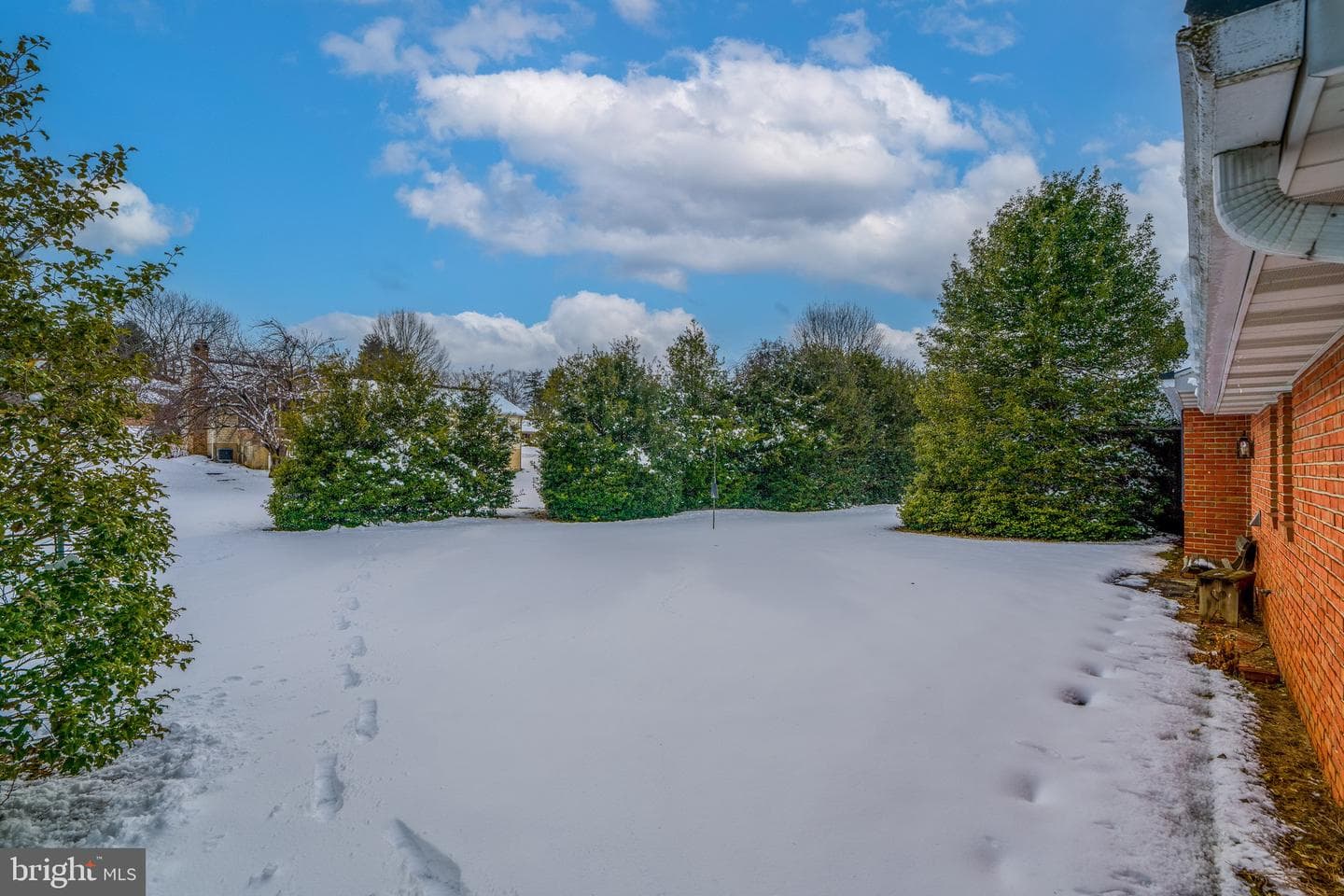 213 Maple Avenue photo 54