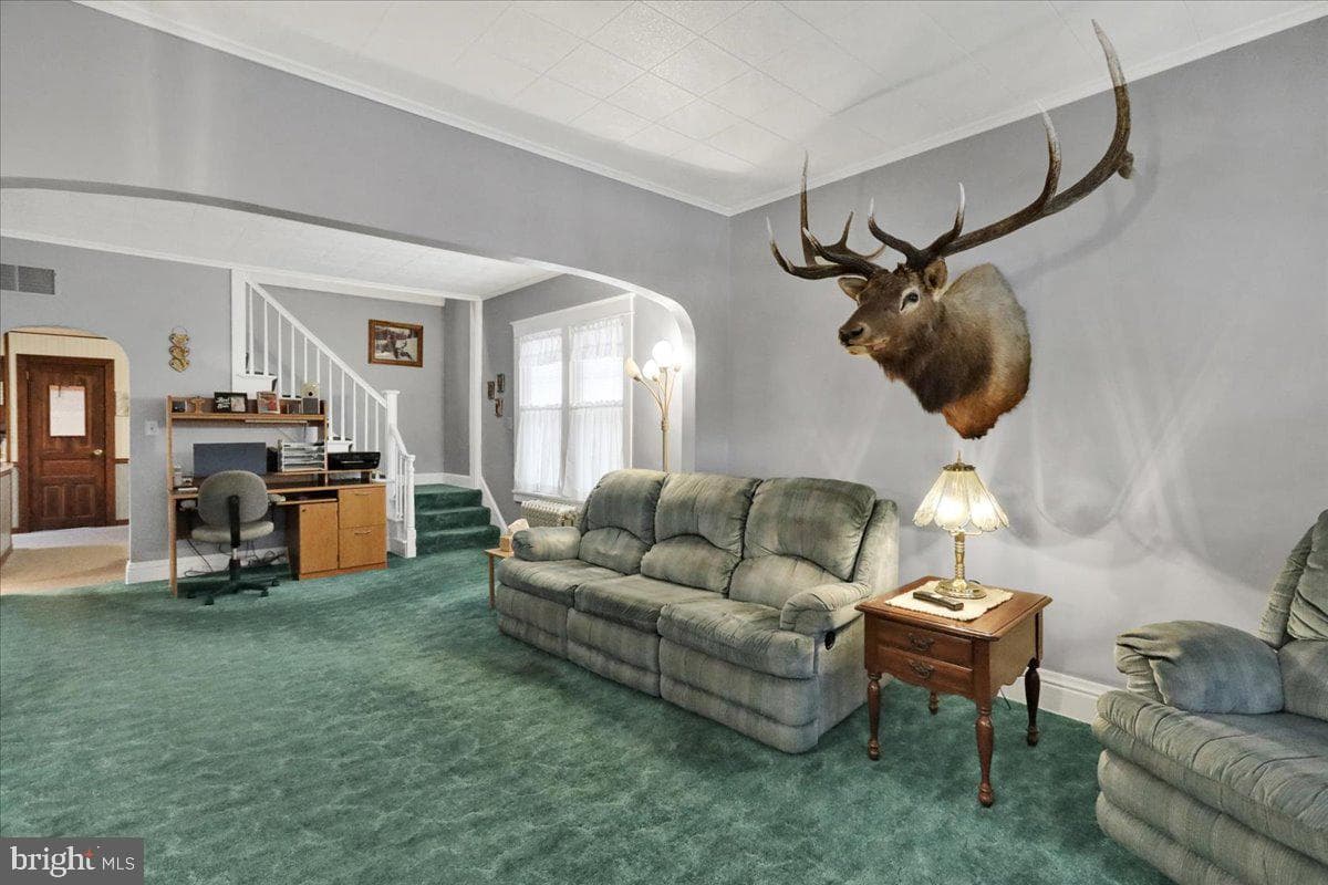 368 Donegal Springs Road photo 13