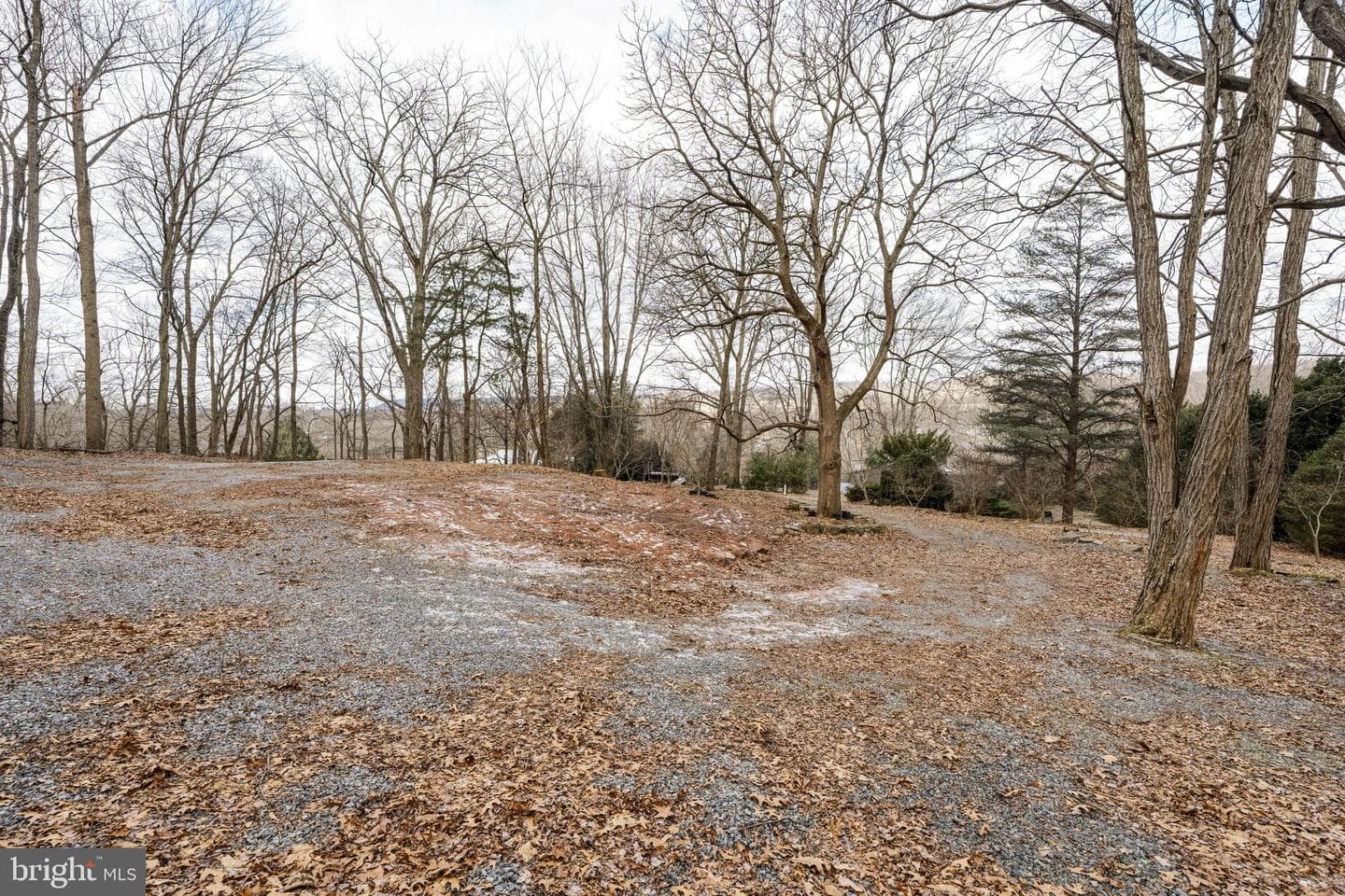 130 Resh Road photo 17