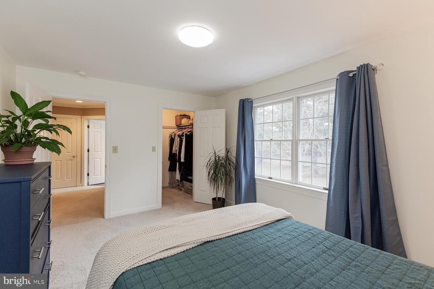 537 Randolph Drive photo 48