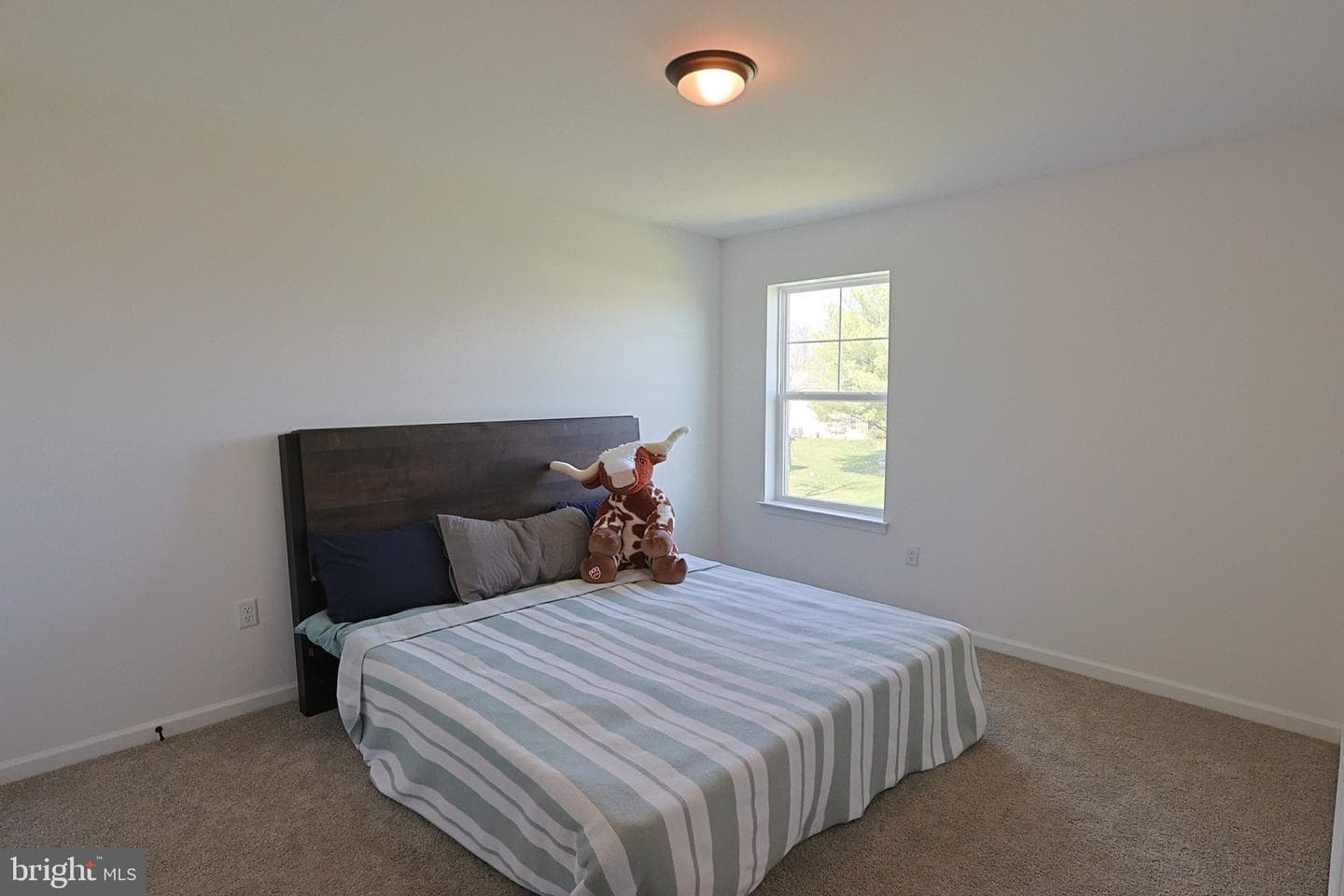 117 Appaloosa Drive photo 36