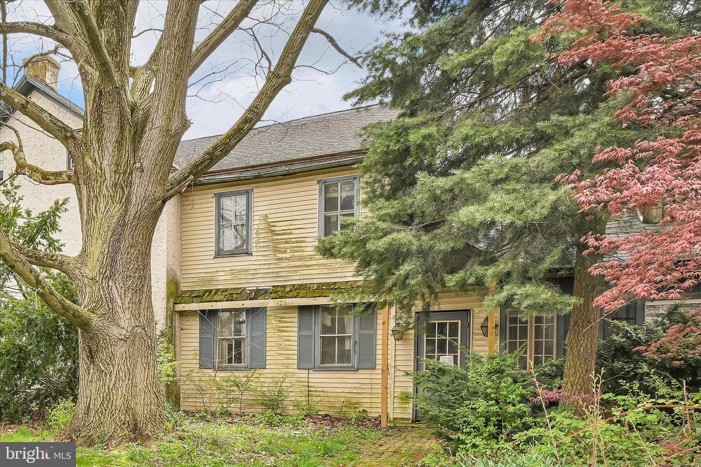 854 Centerville Road photo 39