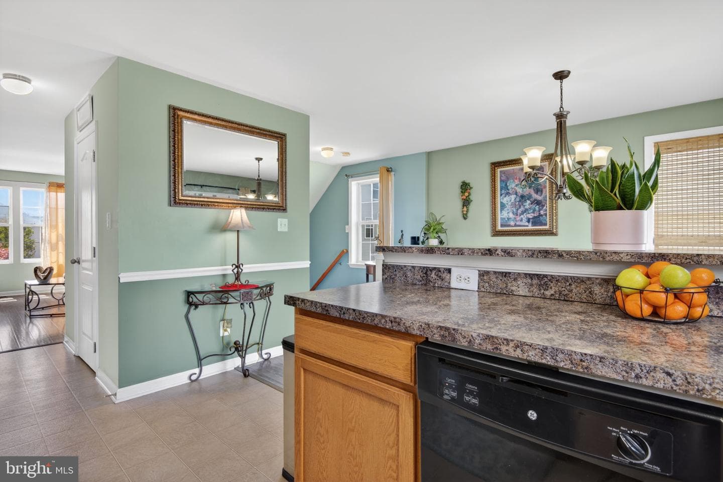 9 Salvatore Court photo 16