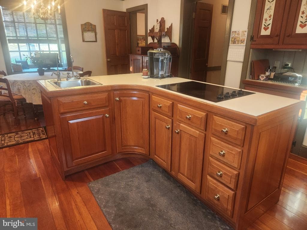 827 Hornig Road photo 16