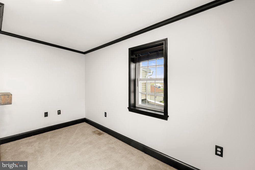1377 Apple Street photo 22