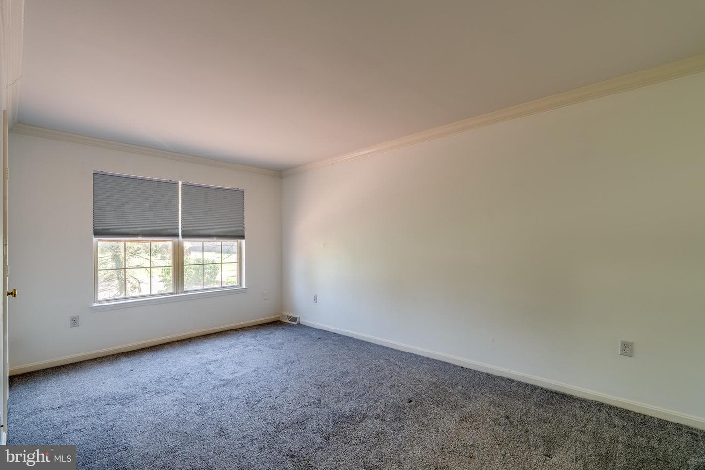 4 Acorn Boulevard photo 21