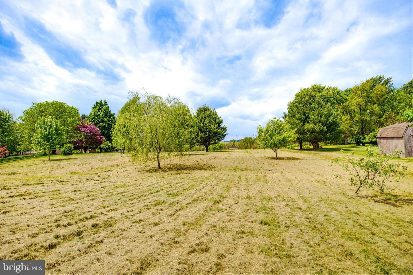 112 Saw Mill Road photo 49