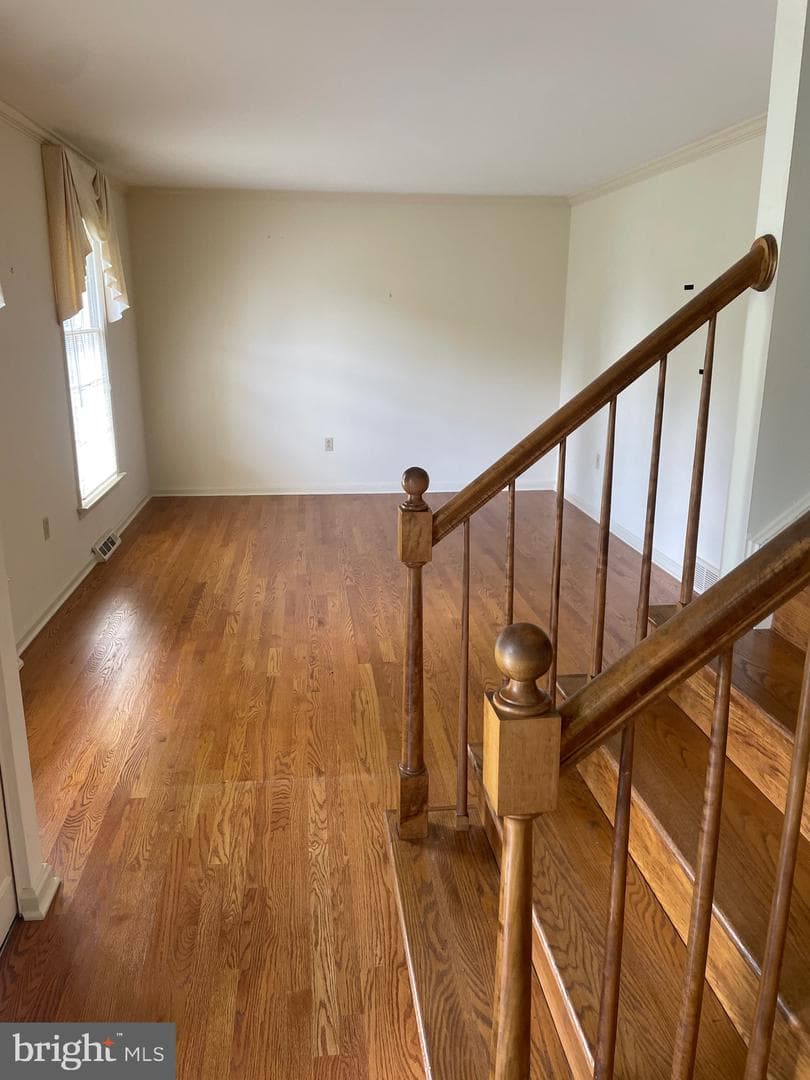 1816 Beverly Drive photo 11
