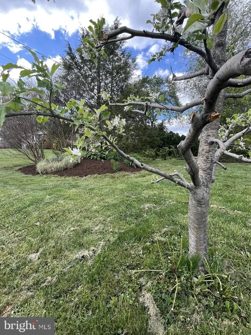 213 Tobacco Road photo 42