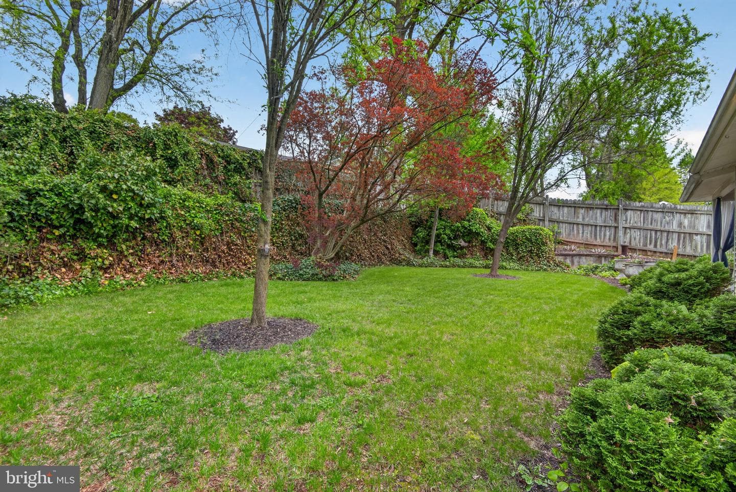 605 Groff Avenue photo 45