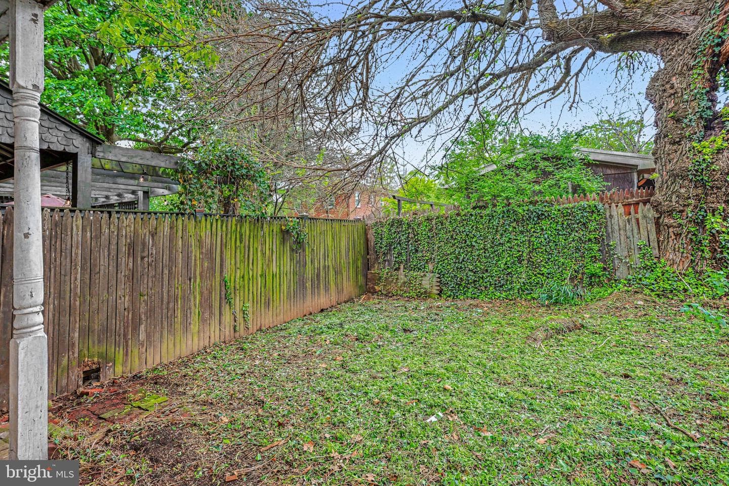 122 S Cedar Street photo 20