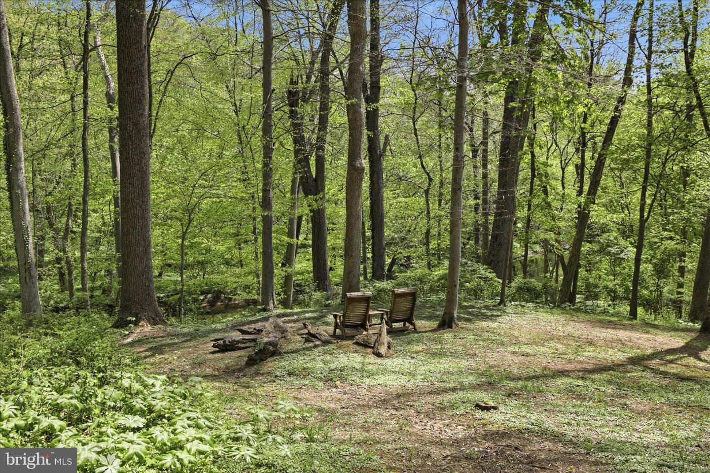 259 Ironstone Ridge Road photo 103