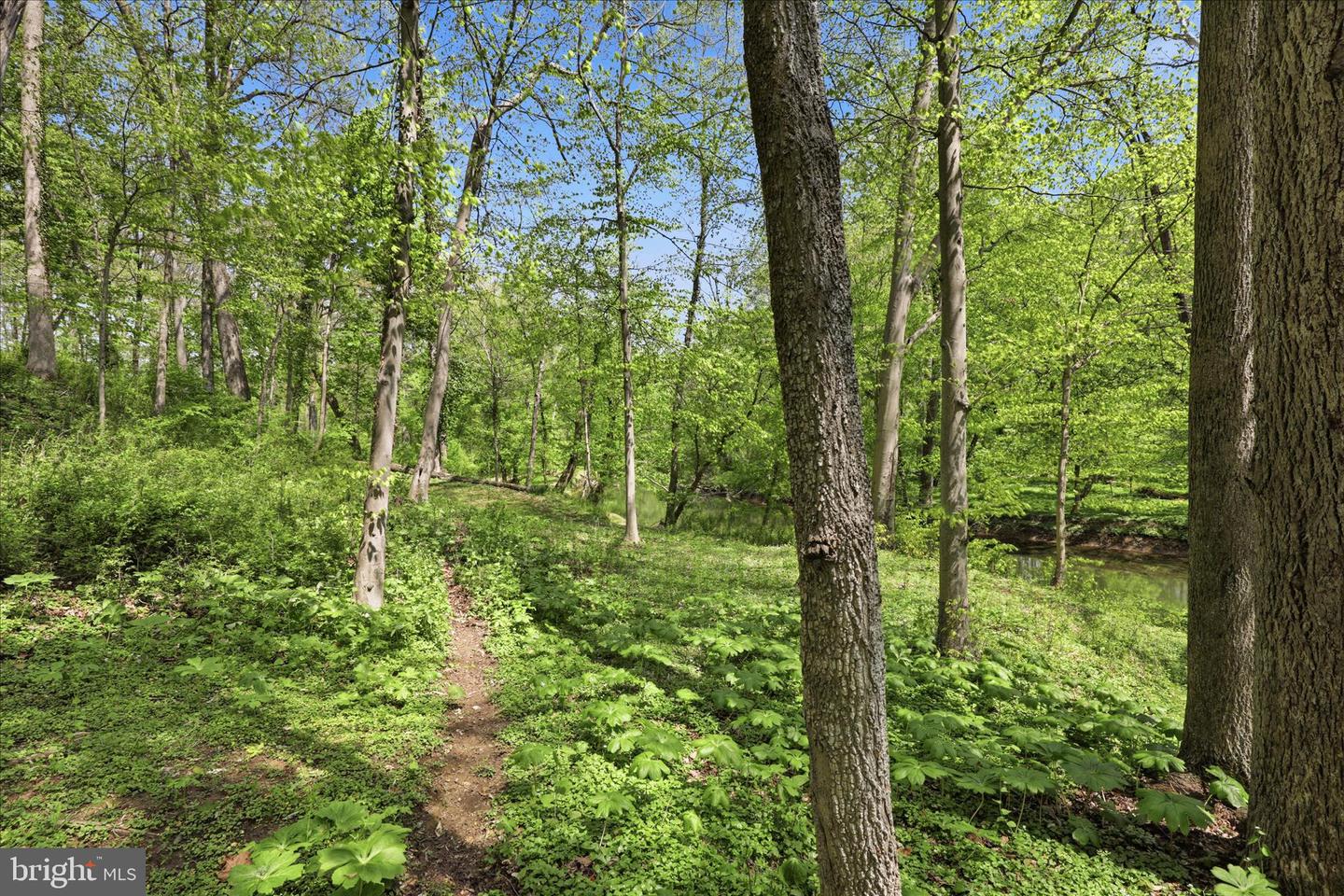 259 Ironstone Ridge Road photo 104