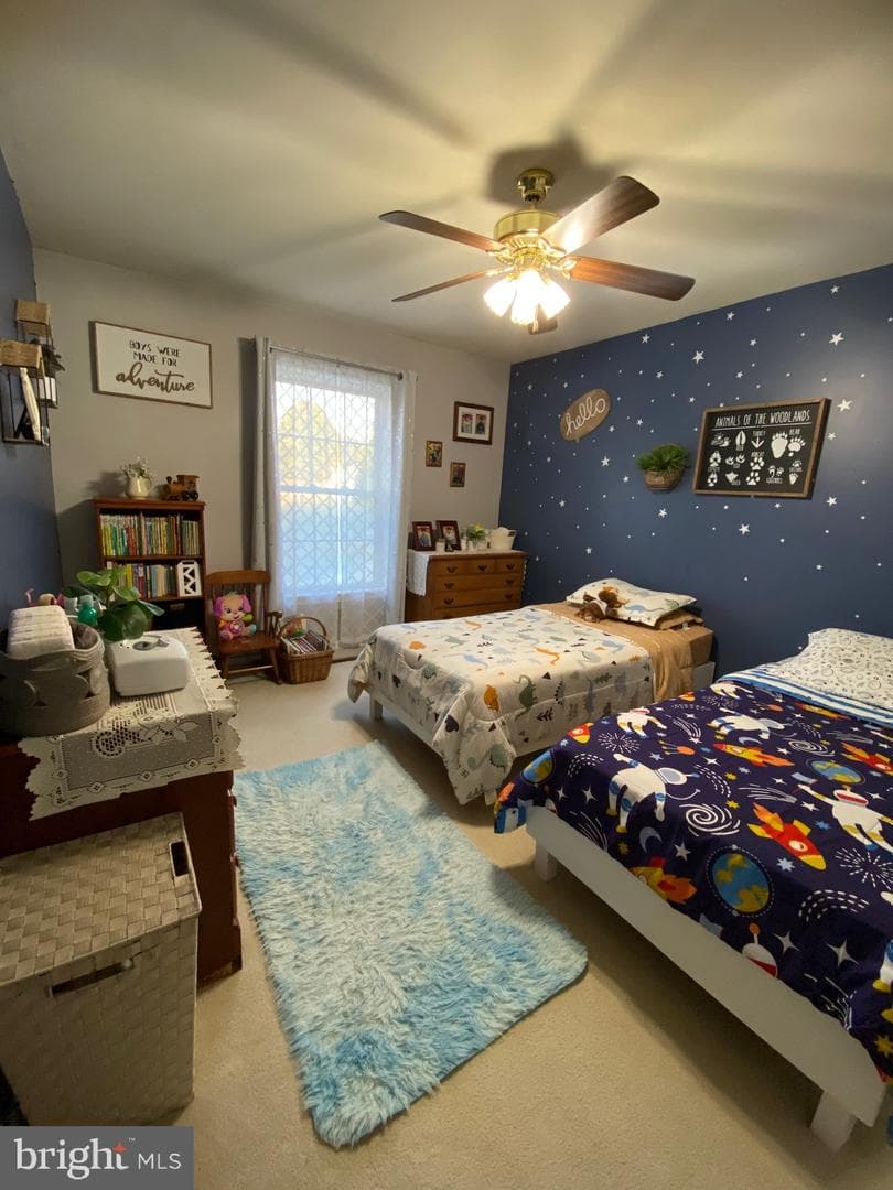237 Meadow Lane photo 14