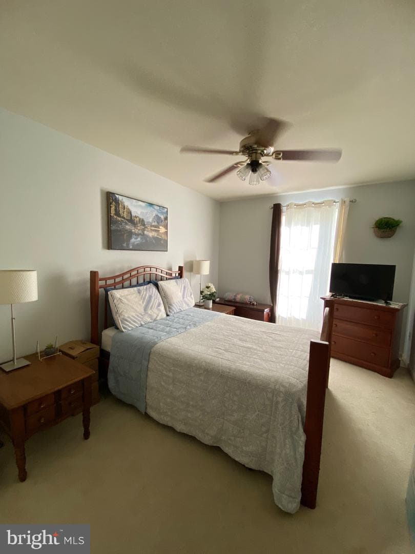237 Meadow Lane photo 17