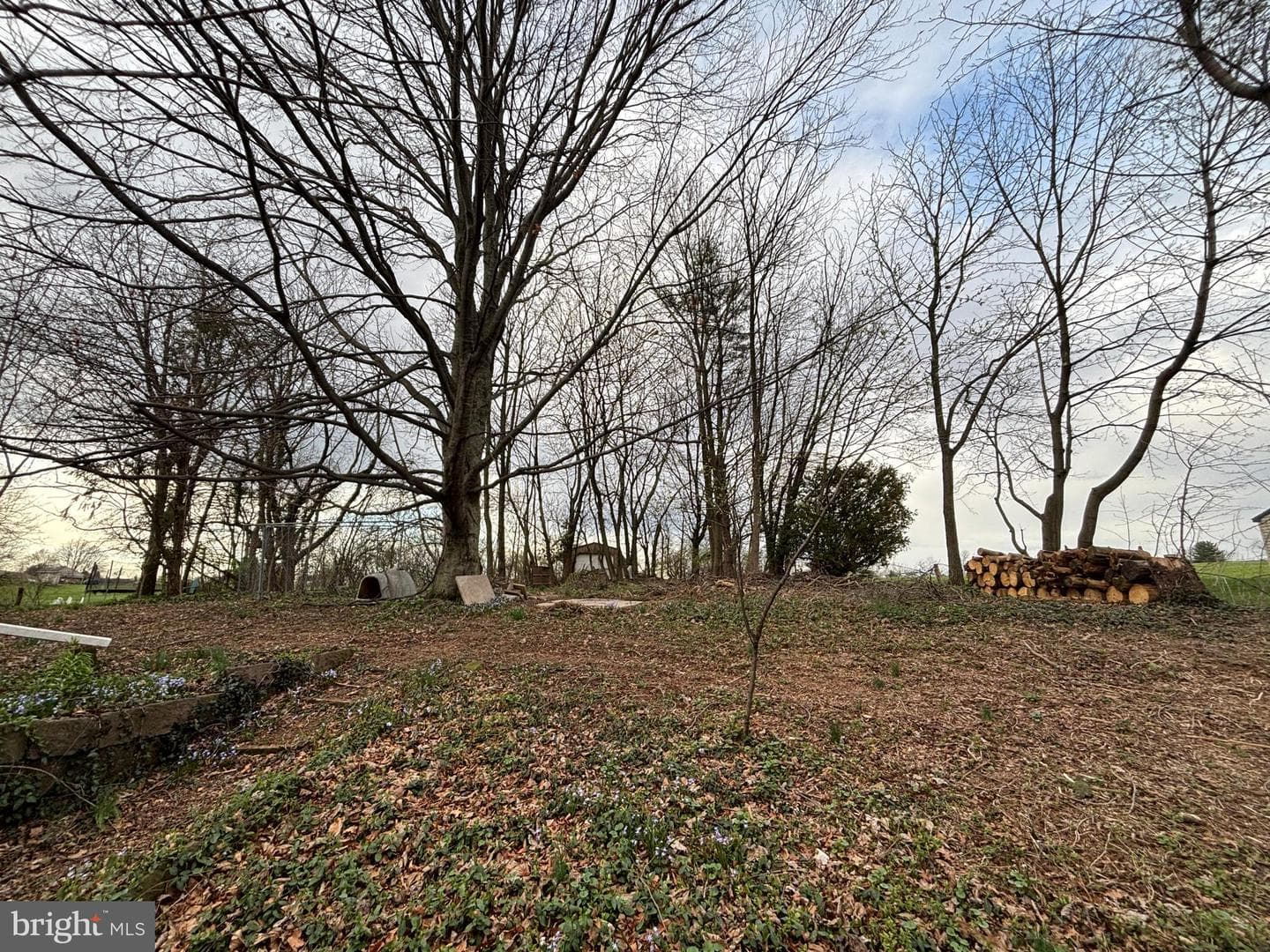39 Hossler Road photo 11