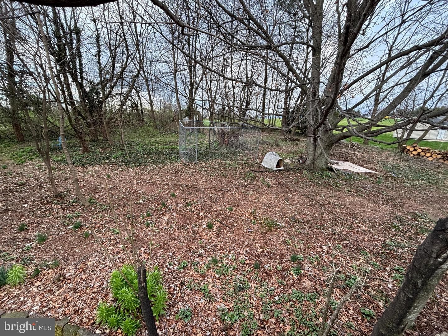 39 Hossler Road photo 12