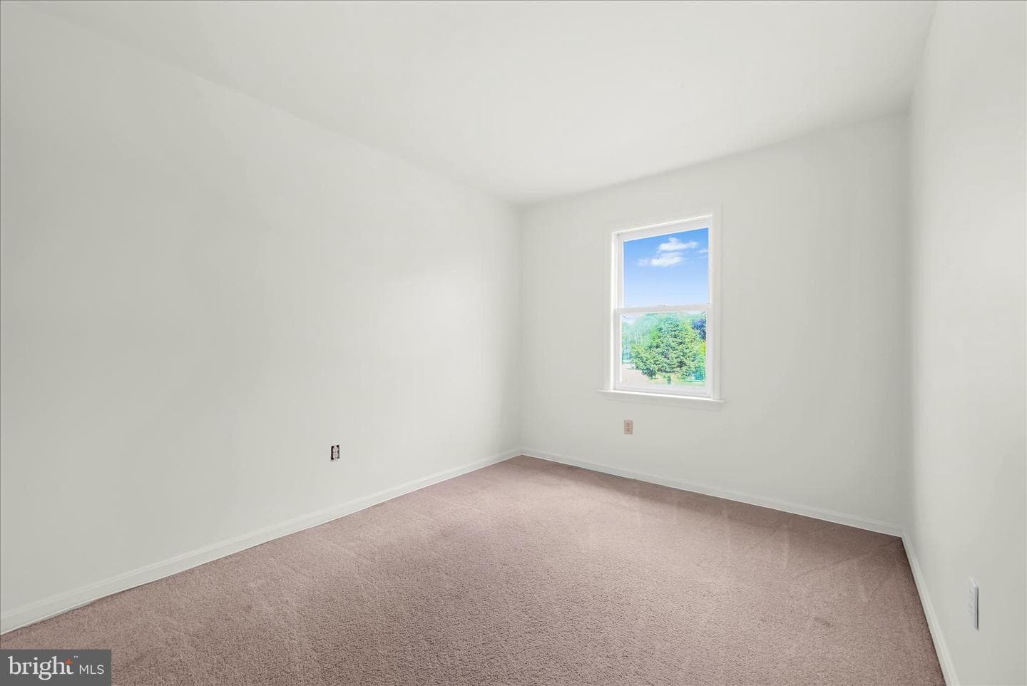 101 Foxchase Drive photo 15