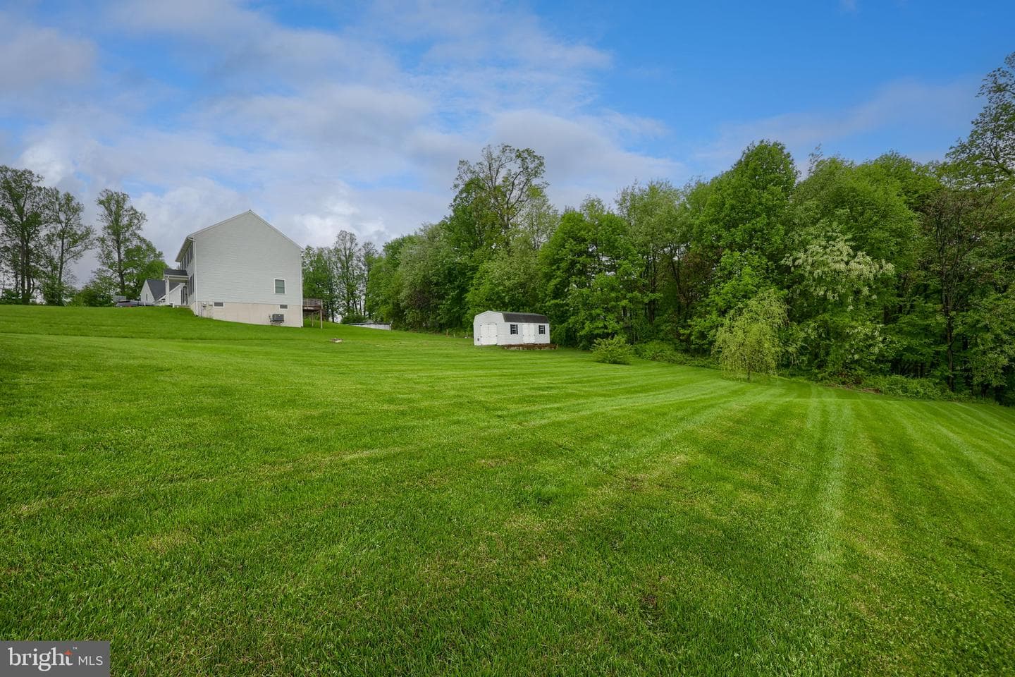 140 Liz Lane photo 34