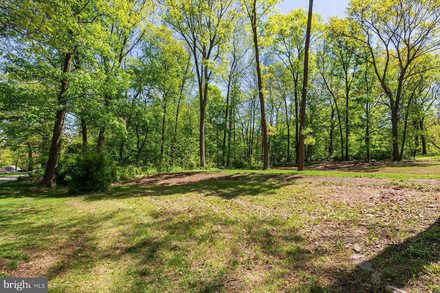 451 Red Hill photo 48