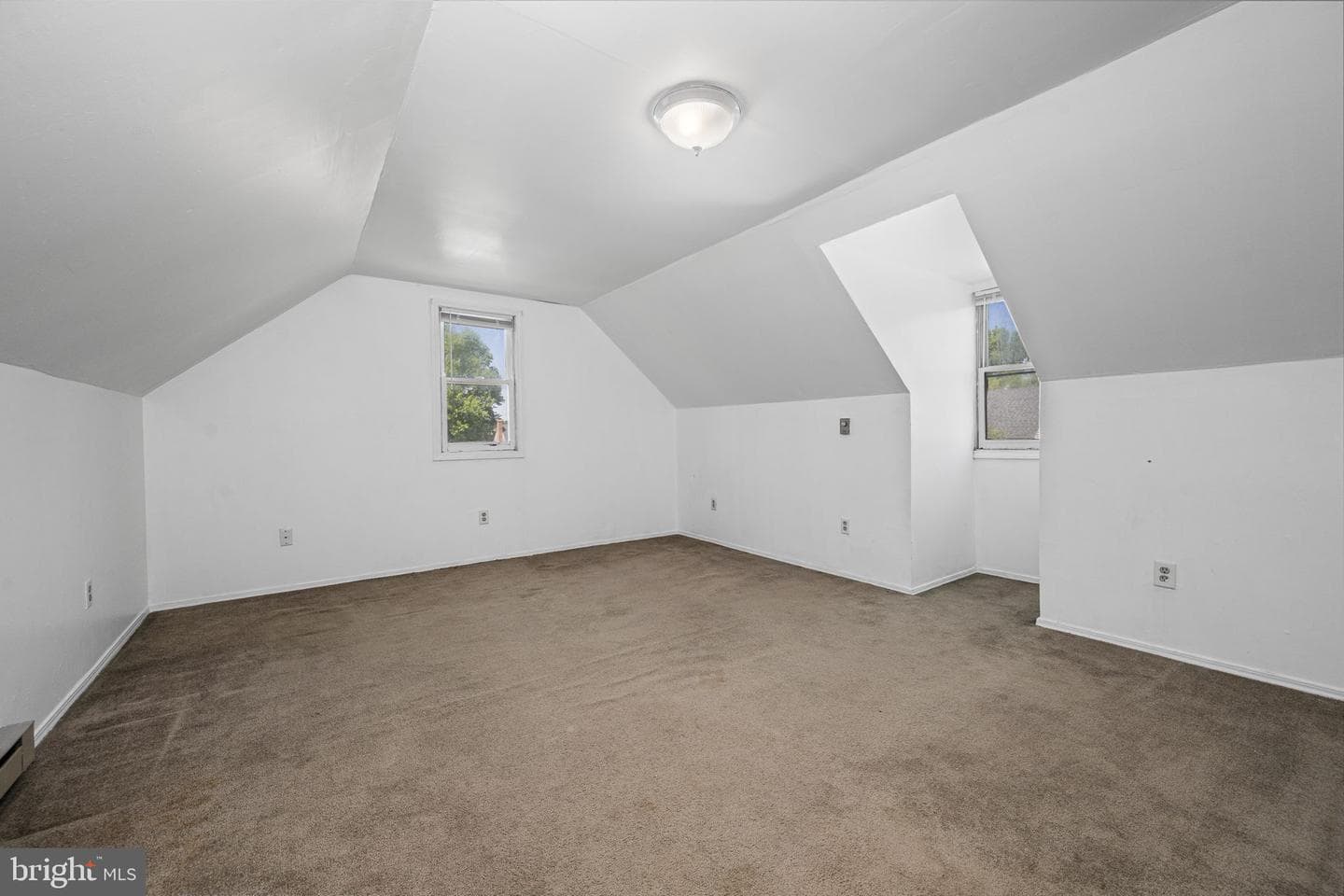 229 Black Horse Drive photo 13