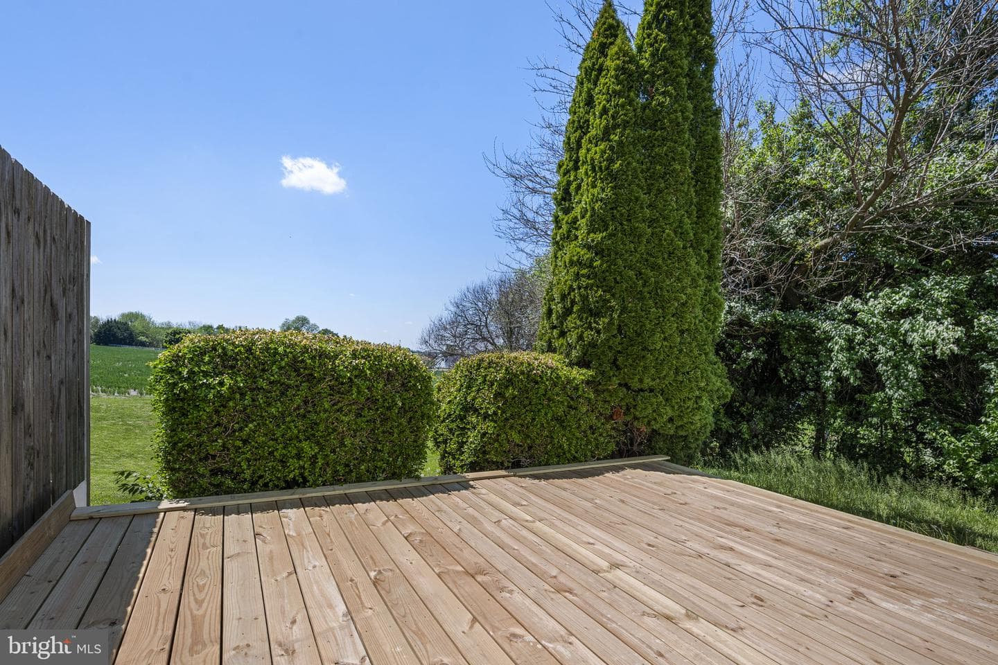 229 Black Horse Drive photo 23
