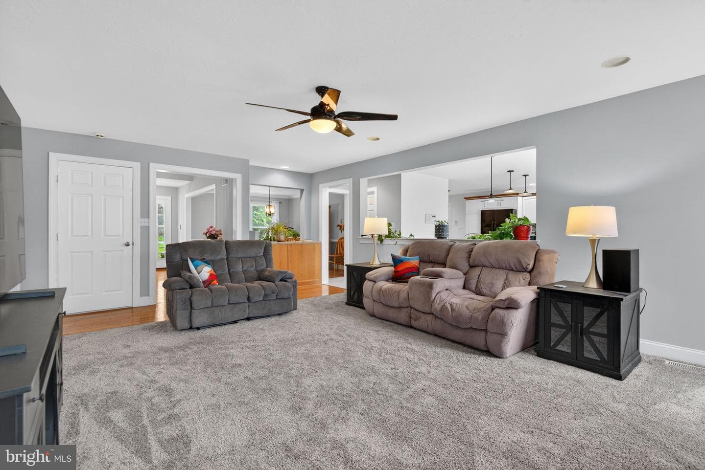 501 Bald Eagle Court photo 25