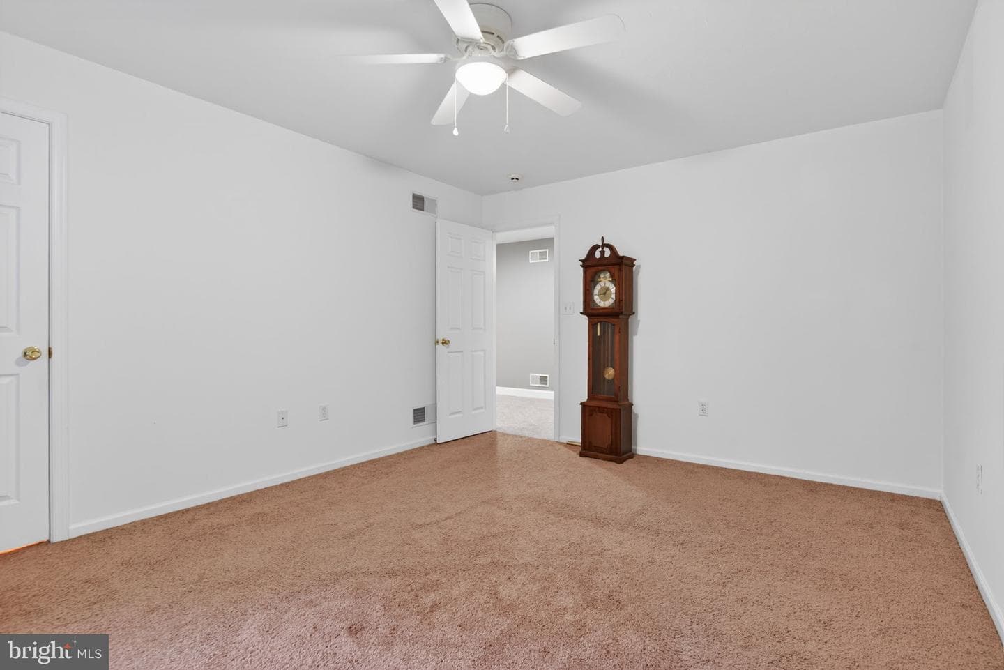 501 Bald Eagle Court photo 54