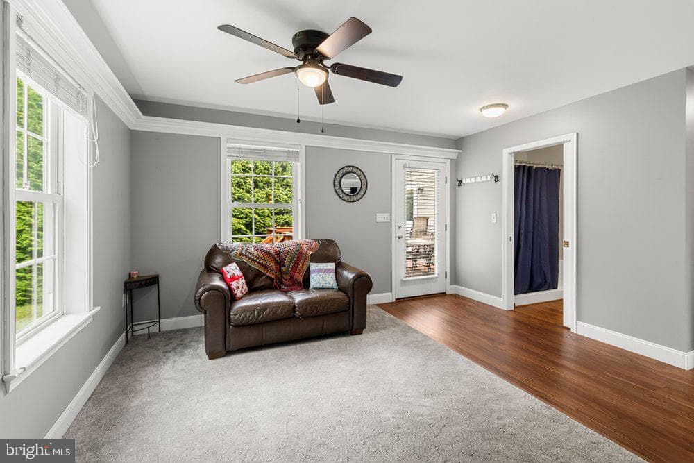 9 Homestead Drive photo 13