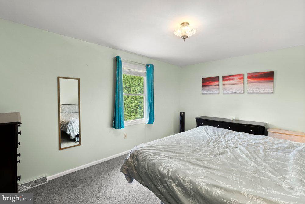 9 Homestead Drive photo 18