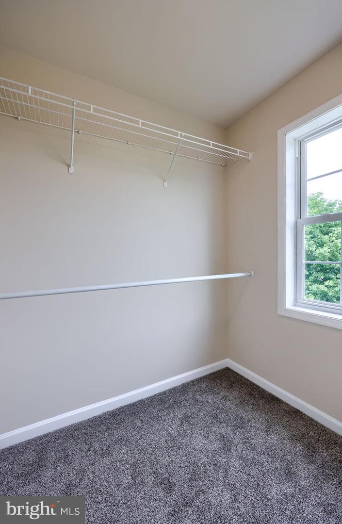 18 Rosemont Dr photo 32