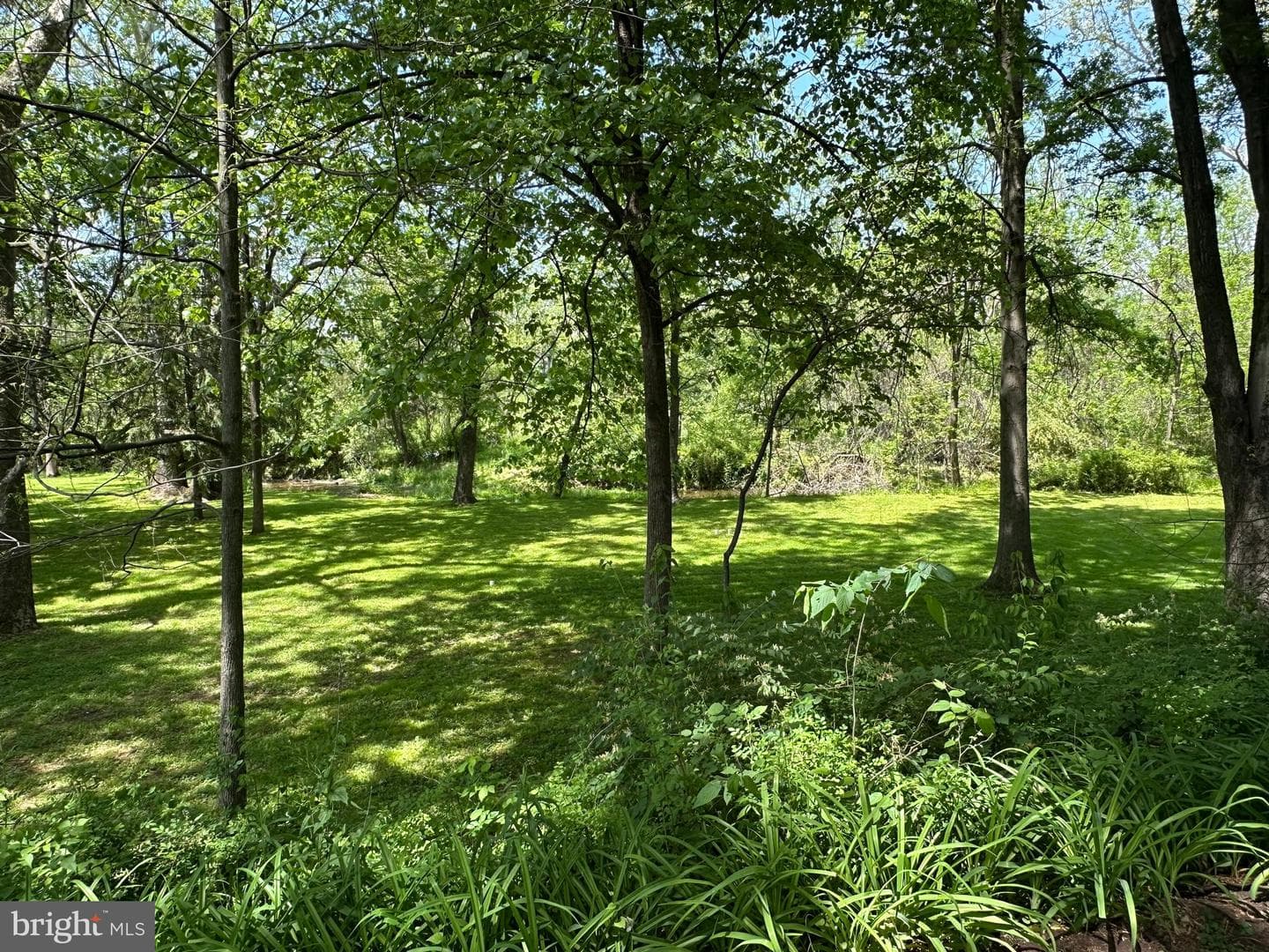 583 Miller Road photo 6