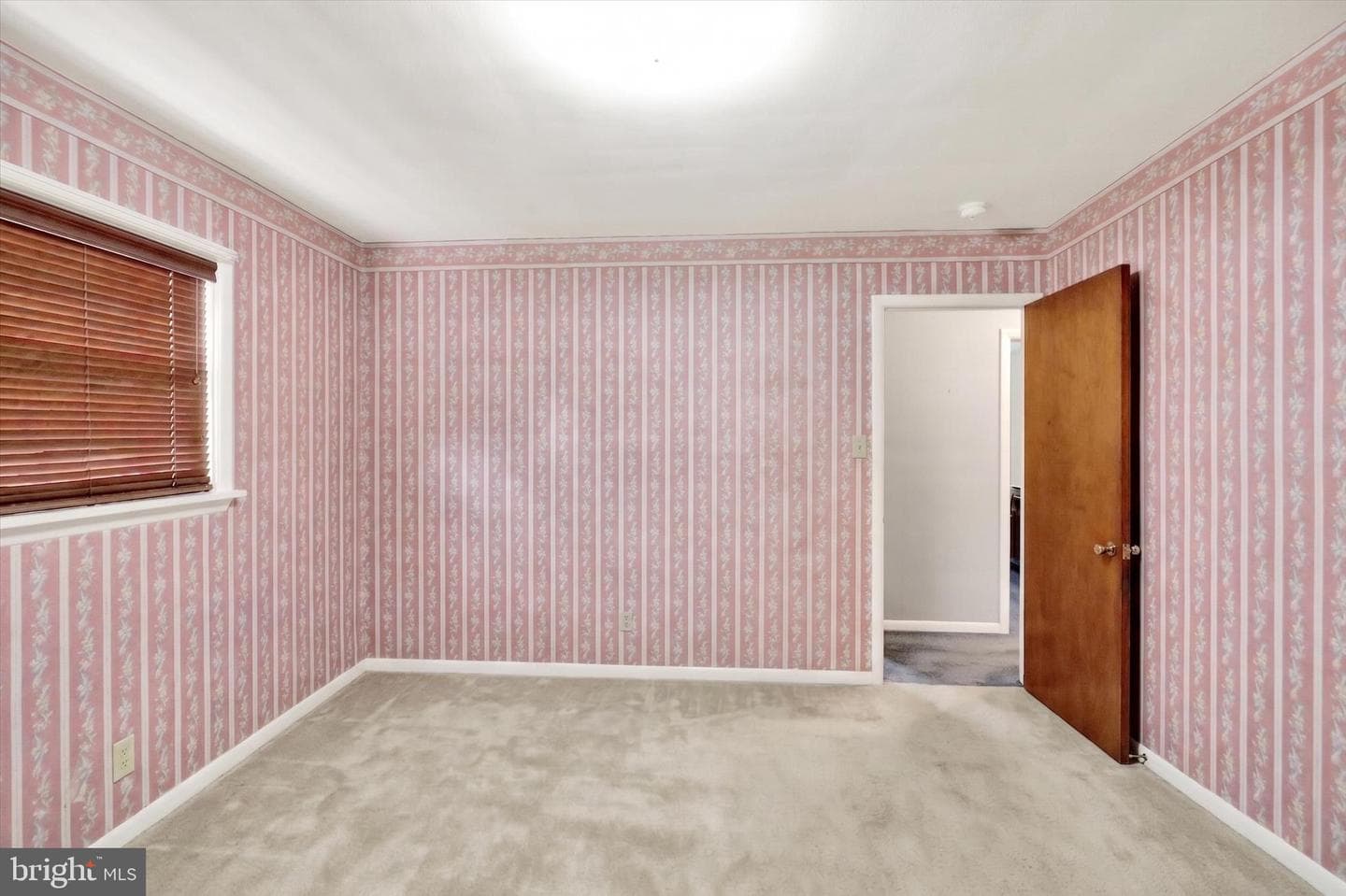 523 Bean Blossom Drive photo 22