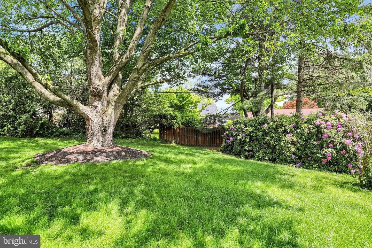 523 Bean Blossom Drive photo 32