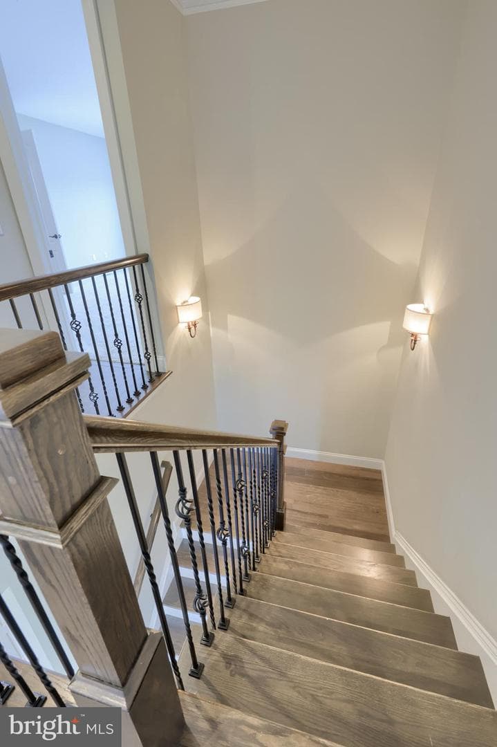 428 Southampton Drive photo 35