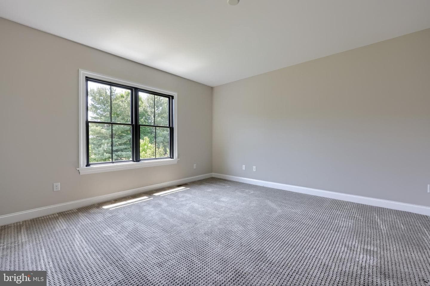 428 Southampton Drive photo 44